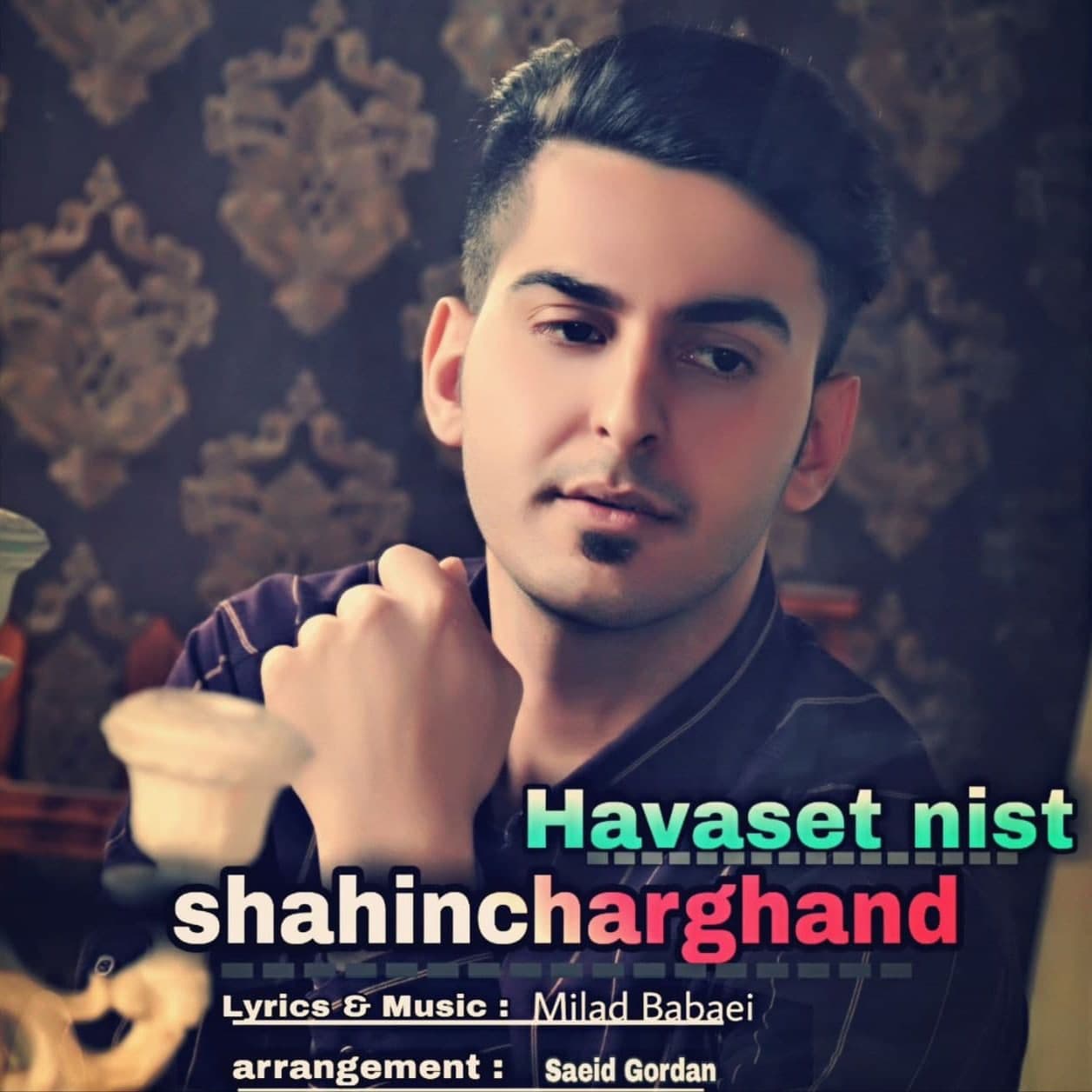 دانلود آهنگ شاهین چرغند هواست نیست با کیفیت 320